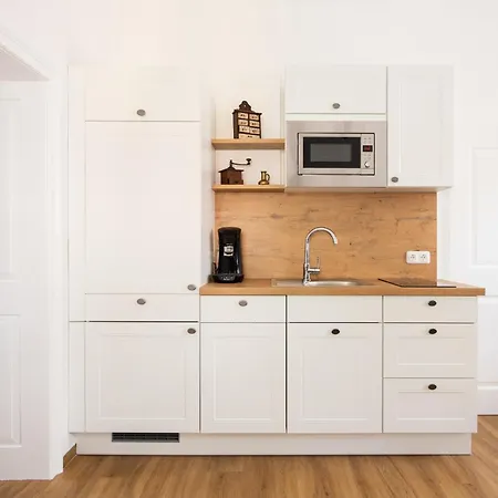 Appartement Leopold An Der Ybbs à Waidhofen an der Ybbs Extérieur photo