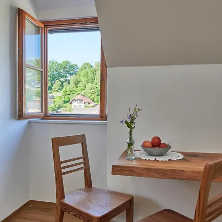 Appartement Leopold An Der Ybbs à Waidhofen an der Ybbs Extérieur photo